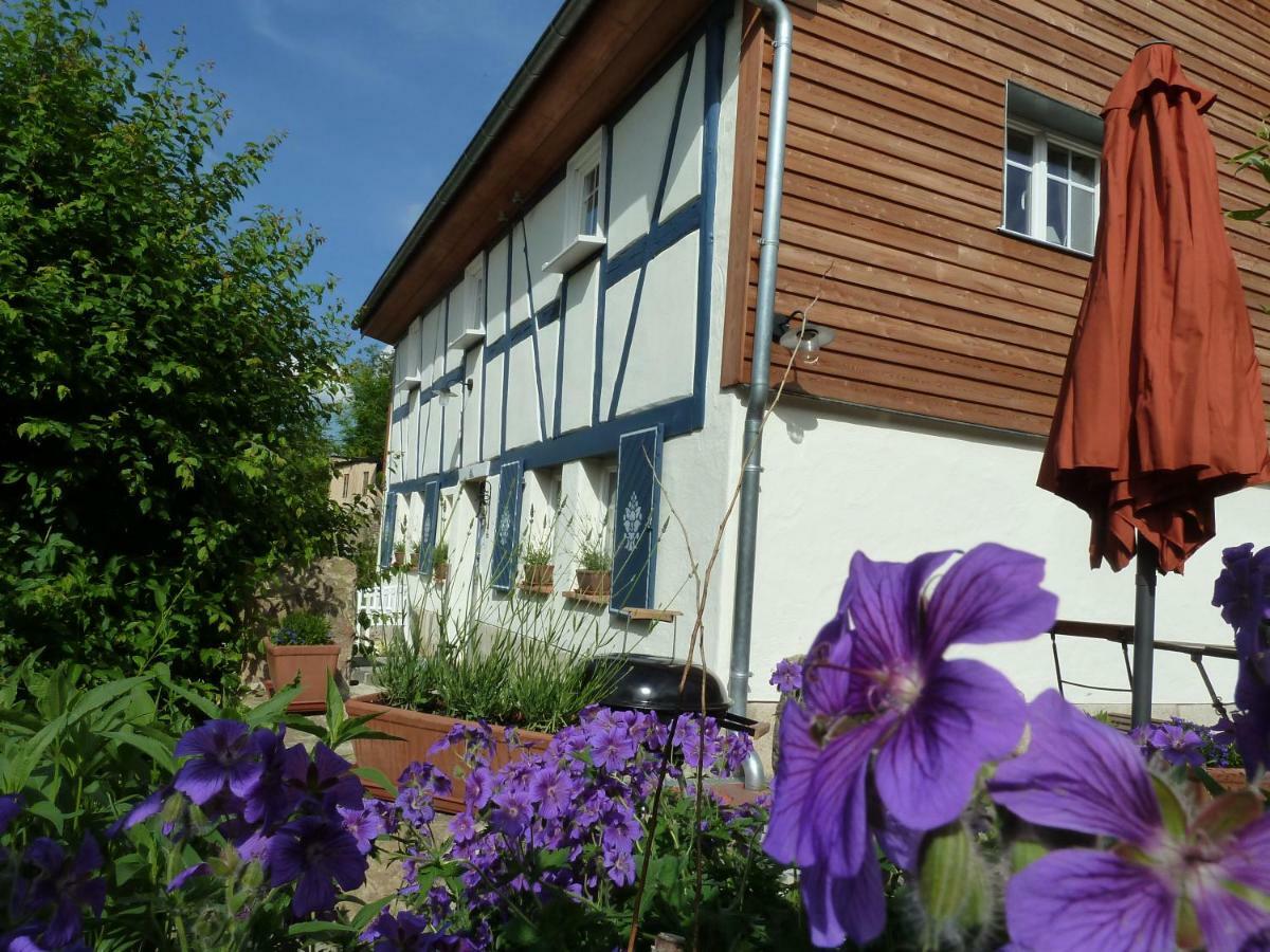 Villa Goldbachhaeuschen Olbersdorf Esterno foto